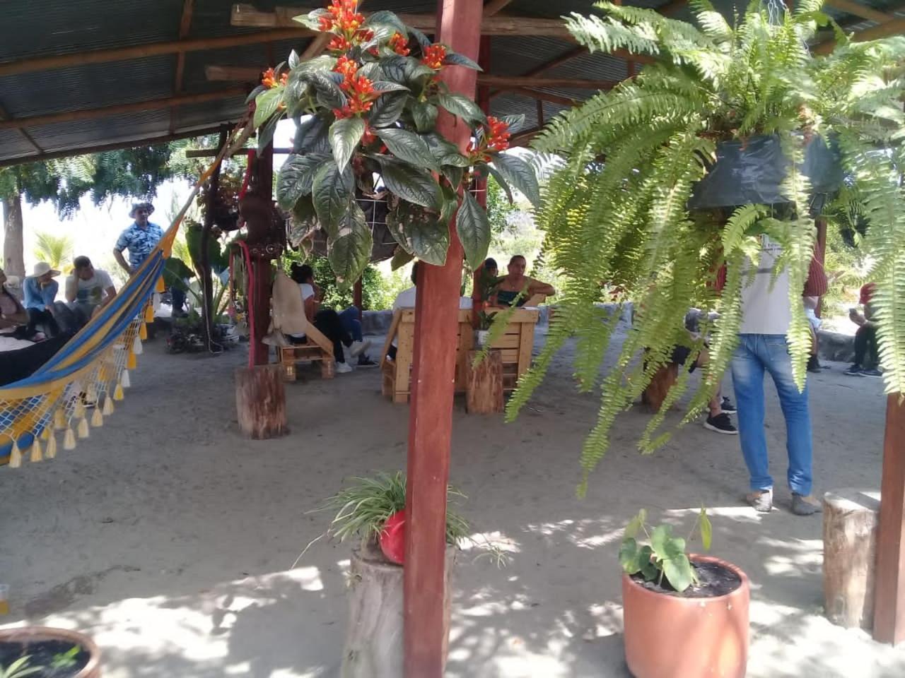 Pachingo La Primavera Villavieja Rom bilde