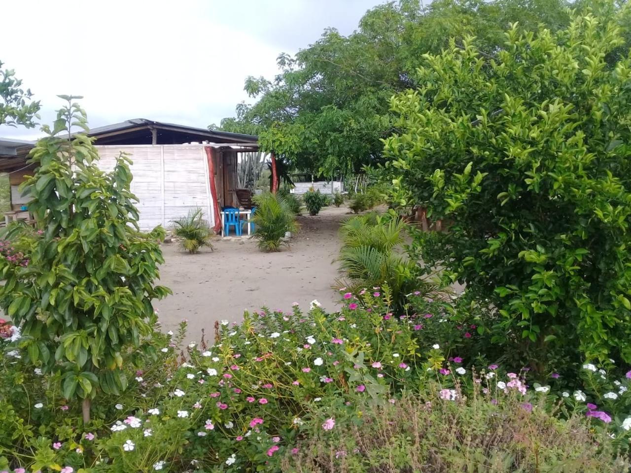 Pachingo La Primavera Villavieja Rom bilde